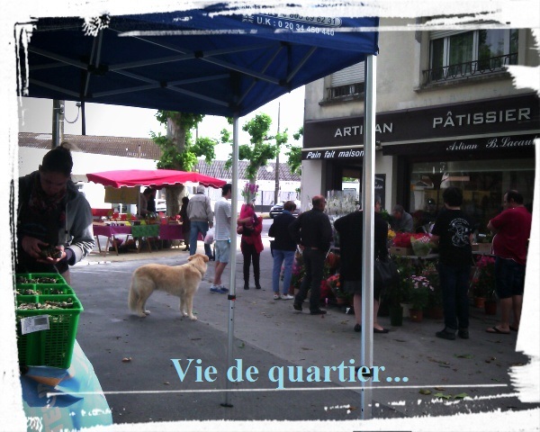 Vie de quartier…