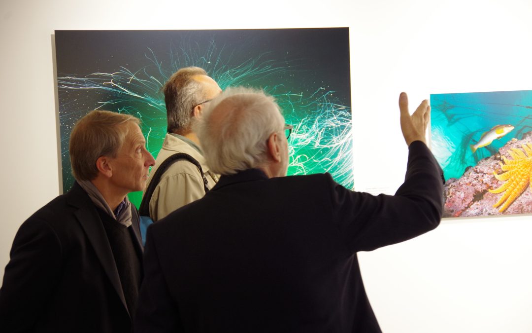 « Sous les Mers » – exposition temporaire Musée Mer Maritime