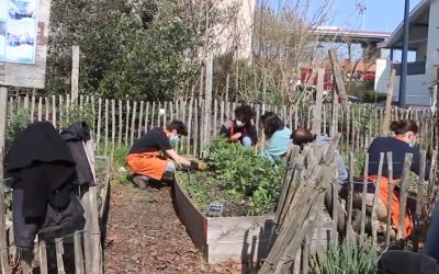 Place aux Jardins