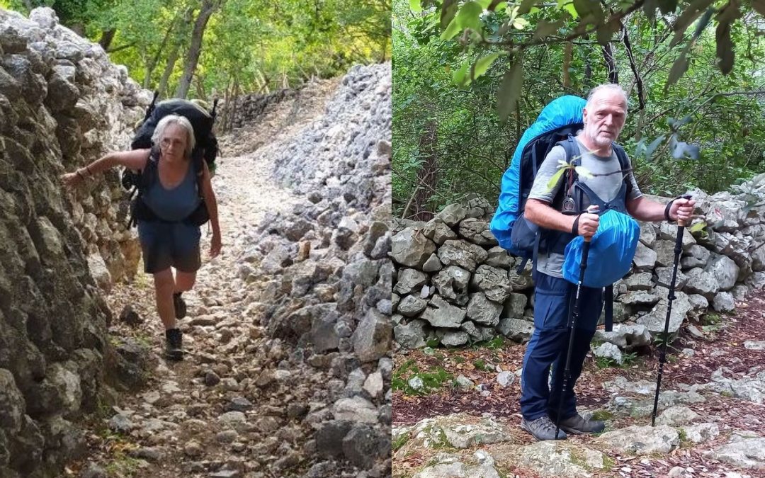 Le tour du monde à quatre pattes