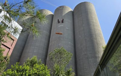 Un record de France aux Bassins à Flot.