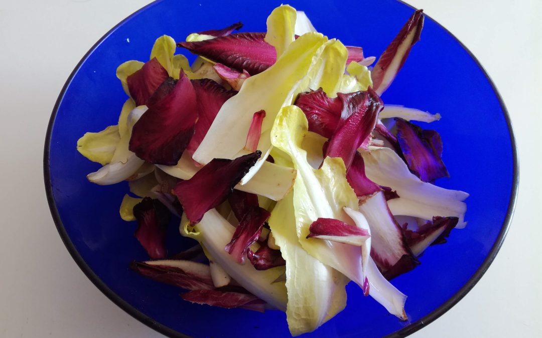 Des endives à Bacalan, saison 2