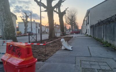 Le boulevard Brandenburg fait son printemps